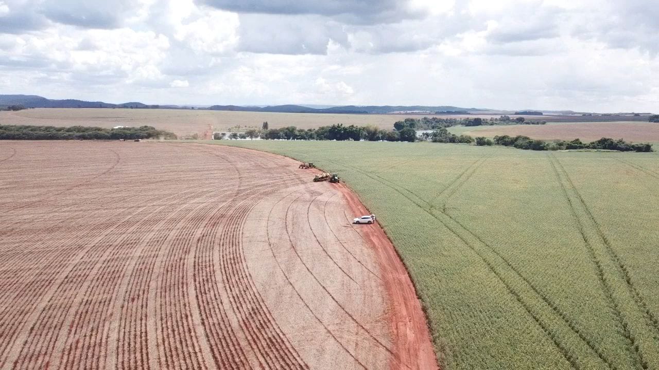 Serviço UP Agritechnology